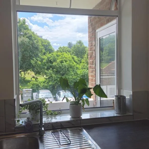 Bright Spacious Airy 2 Bed Flat, hotel in Ealing