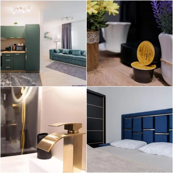 Regia Apartament, ξενοδοχείο σε Oradea