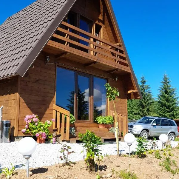 Căbănuța Busuioc Colibita, hôtel à Bistriţa Bîrgăului