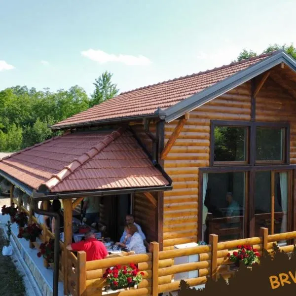 Brvnara Beni, hotel in Vrdnik