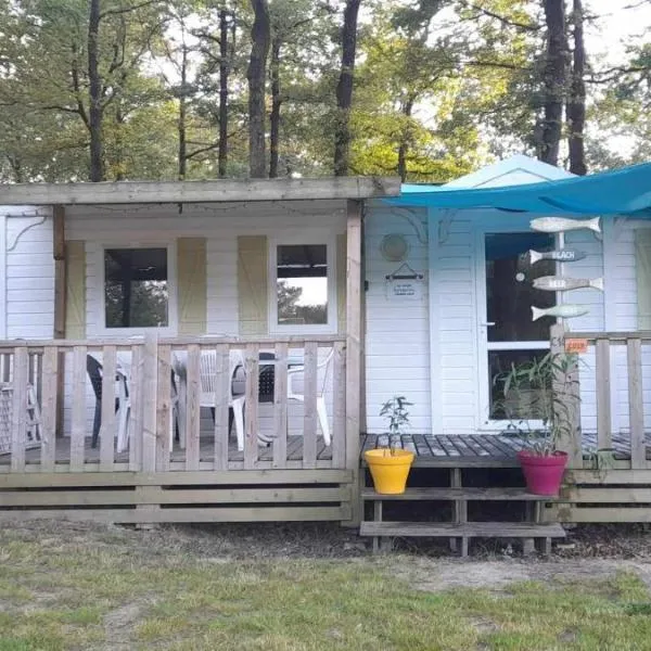 F4 PREMIUM 6 pers PUY DU FOU 910CF, Hotel in La Boissière-de-Montaigu