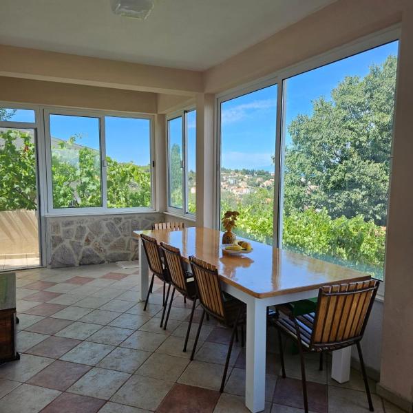 Apartment in Preko with sea view, terrace, air conditioning, Wi-Fi (4574-1)