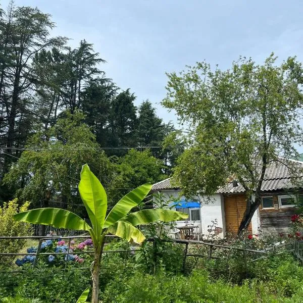 OK Sahli, hôtel à Shekvetili