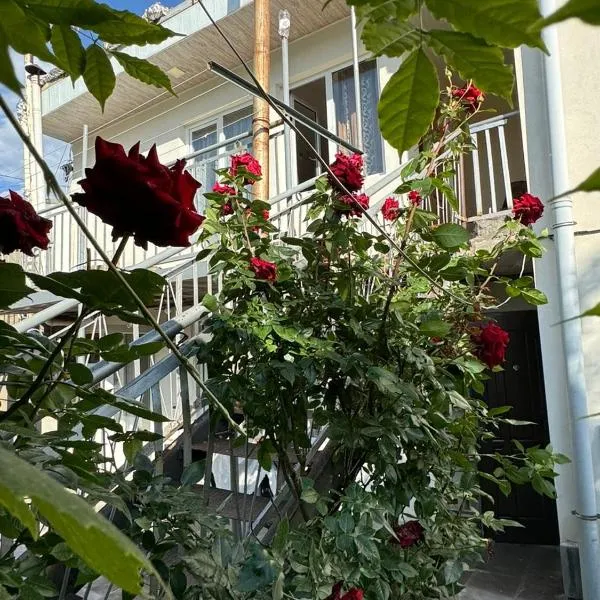 Center, hotel u gradu Goris