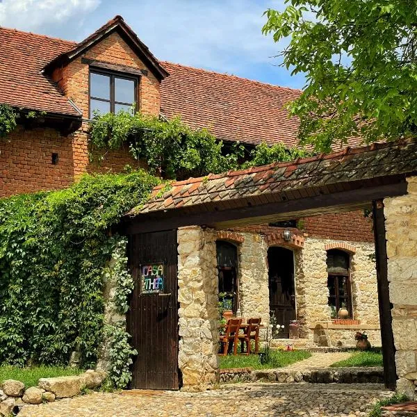 Casa Thea Cheile Nerei, hotel in Socolari