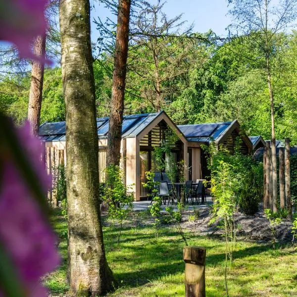 Résidence Lage Vuursche, hotel v destinaci Lage-Vuursche