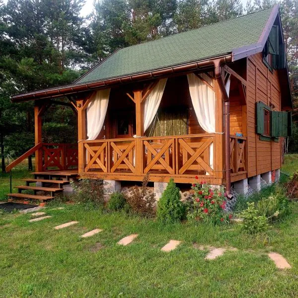 Domek w Sosnach, Hotel in Błonie