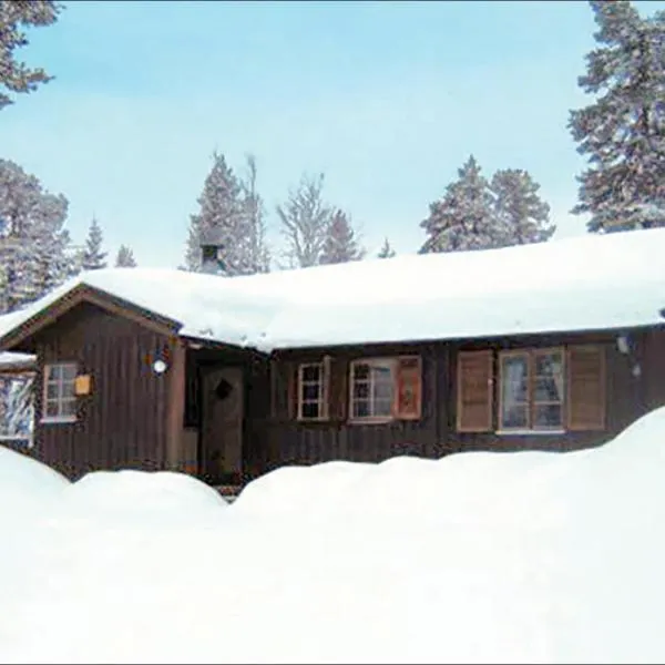 Gorgeous Home In Särna With Kitchen、Fjätervålenのホテル