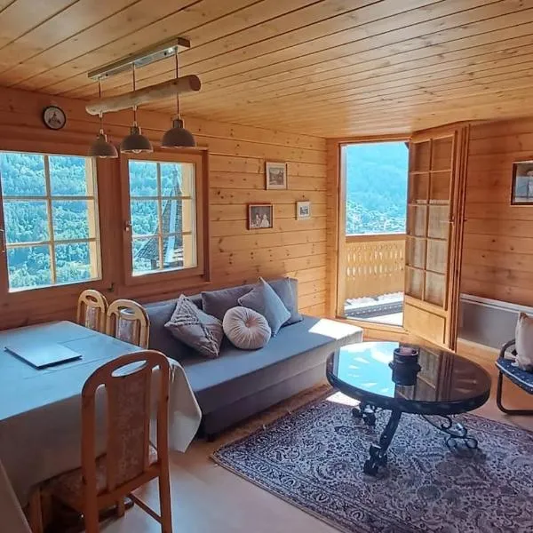 Chalet 3 pièces de caractère, hotel in Mayoux