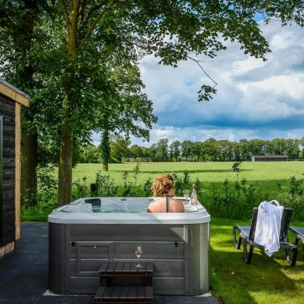 Panorama wellnesslodges x Vakantiepark Hölte, Hotel in Rijssen