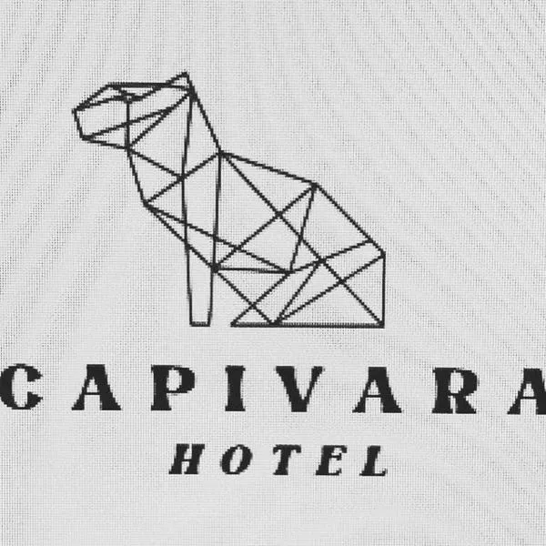 Hotel Capivara, hotel in Mucugê