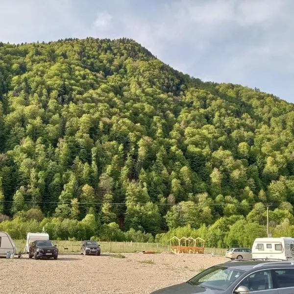 Camping Pentru Rulote, Auto Rulote, Corturi Personale La Barbosu in Lepsa, Vrancea, hotel in Lepşa