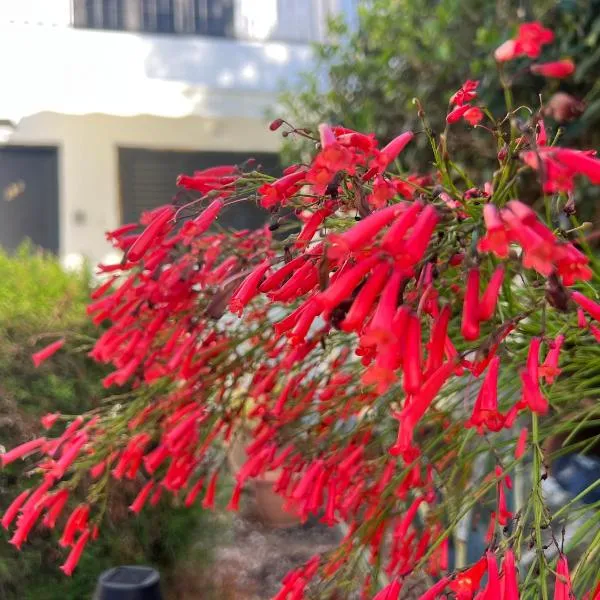 Natalia's Townhouse, Margarita Gardens 003, hotell Paphoses