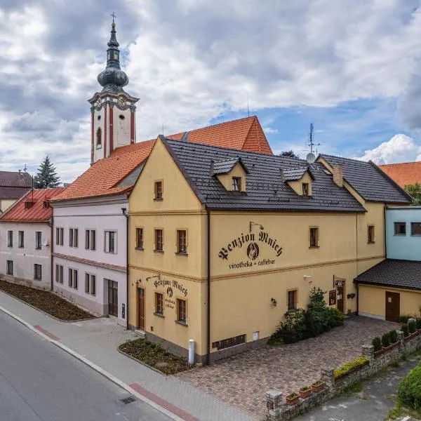 Penzion Mnich, hotel v destinaci Nová Bystřice