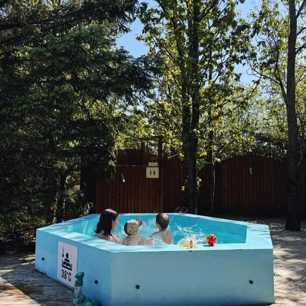 Hotel Hjardarbol，位于塞尔福斯的酒店