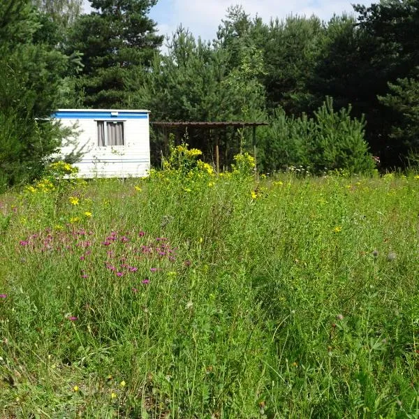 chata Lochneska u Vlkovských pískoven, hotel in Vlkov