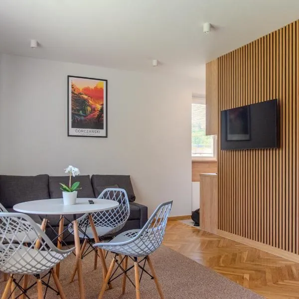 Apartament Słoneczny Rabka Zdrój, hotel in Rabka-Zdroj