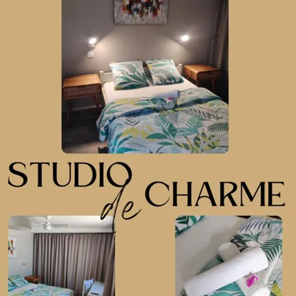 Joli studio cocooning & discret, à 2mns de la 4 voies, hotel en La Possession