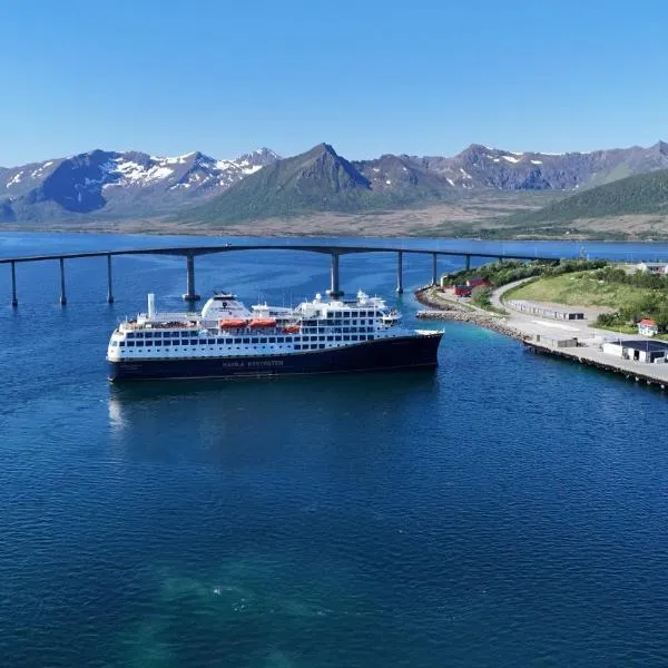 Risøyhamn Kafe, hotel in Risøyhamn