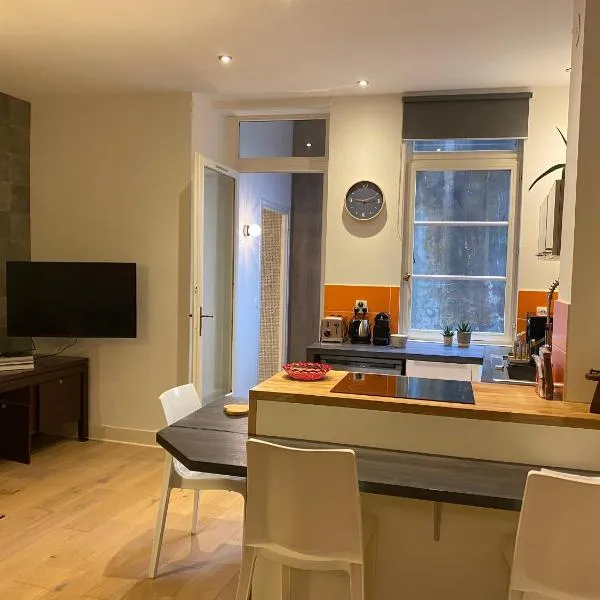 Appartement - Bonlieu - Annecy vieille ville, hotel in Annecy