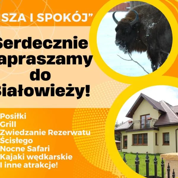 Pokoje Gościnne Сisza, hotel v destinaci Białowieża