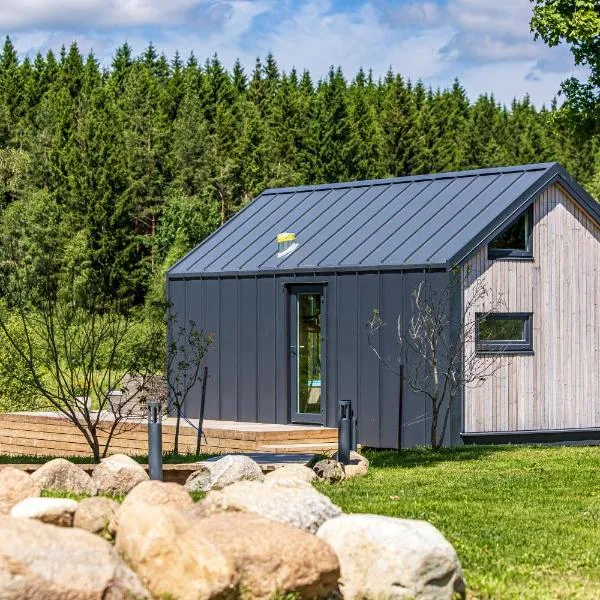 Namelis prie raisto – hotel w mieście Medsėdžių