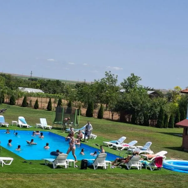 Pensiunea Paradiso, Hotel in Sarinasuf