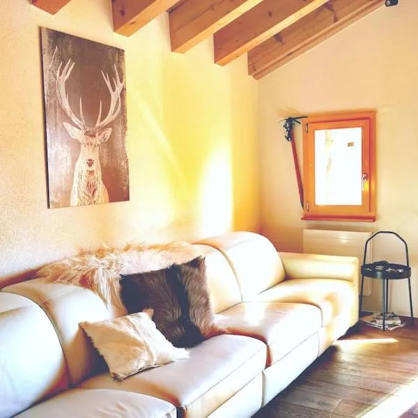 Charmante Loft Wohnung in den Bergen, hotel in Münster