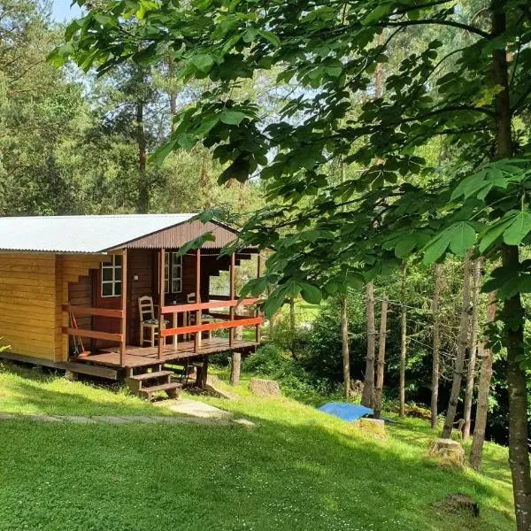Domki letniskowe pod Brzozami Stella, hotell sihtkohas Polańczyk