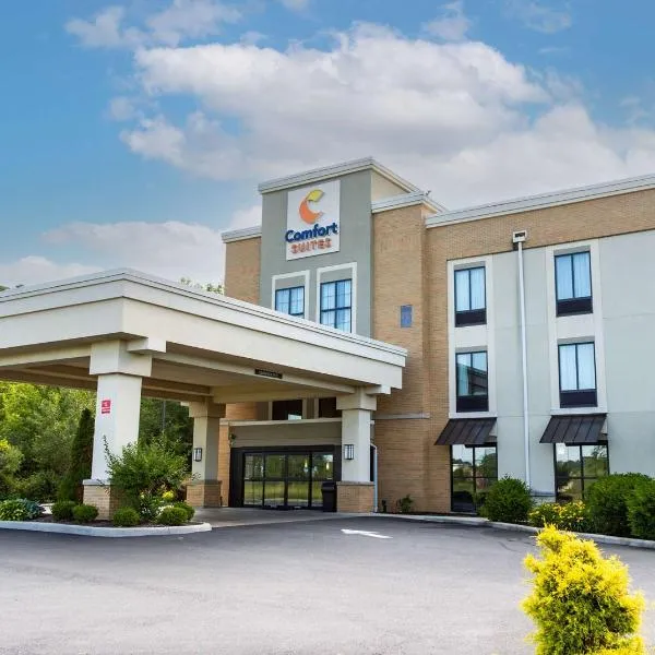 Comfort Suites-Youngstown North, hotel v destinaci Youngstown