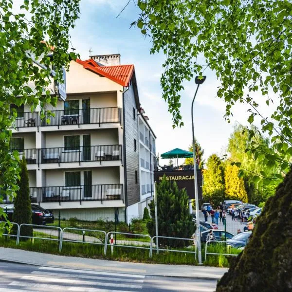 Willa Amelia, hotel in Solina