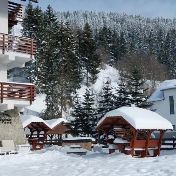 ALEGRIA - MOIECIU DE SUS, Hotel in Moieciu de Sus