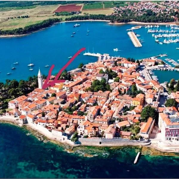 CASA MANZONI old town-Novigrad 20 m from the sea，位于诺维格勒伊斯特拉的酒店