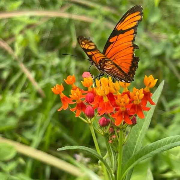 Cabañas en Reserva Privada Bahía Santa Ana, hotel in Santa Ana