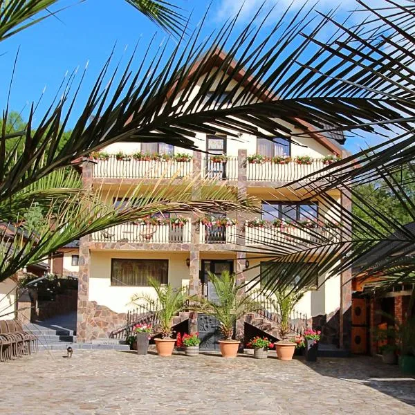 Pensiunea Adolescenta，Poiana Uzului的飯店