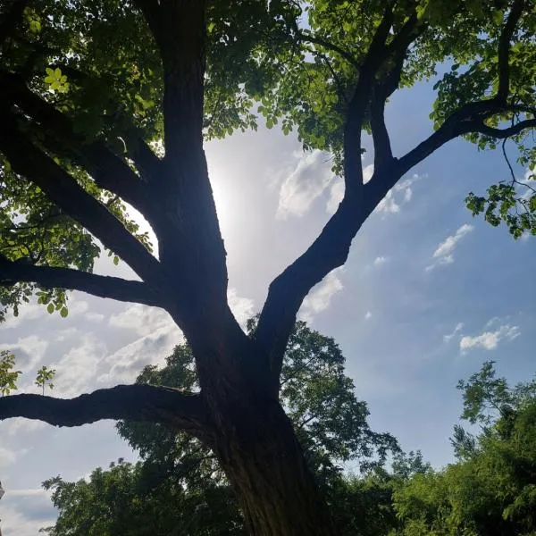 Vikendica NiNICA, hotel en Irig