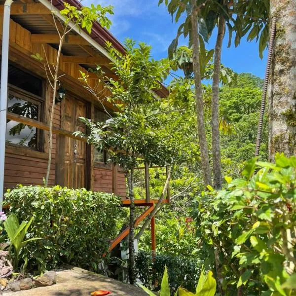 Cabaña de Montaña, hotell sihtkohas Cartago