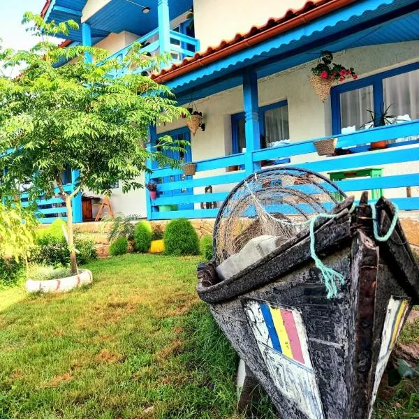 Casa David, hotel in Dunavăţu de Sus