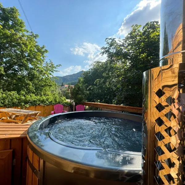 Gîte au Manoir des Sens avec bain nordique jacuzzi, hotel en Bergheim
