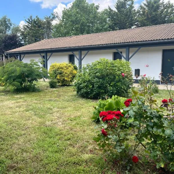 Cit'Hotel Les Eleis, hotel in Saint-Martin-de-Fraigneau