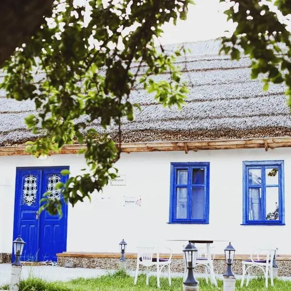 Pensiunea Casa Veche, viešbutis mieste Palanca