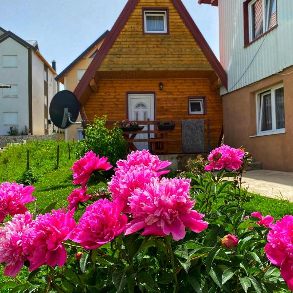 Apartman My Home