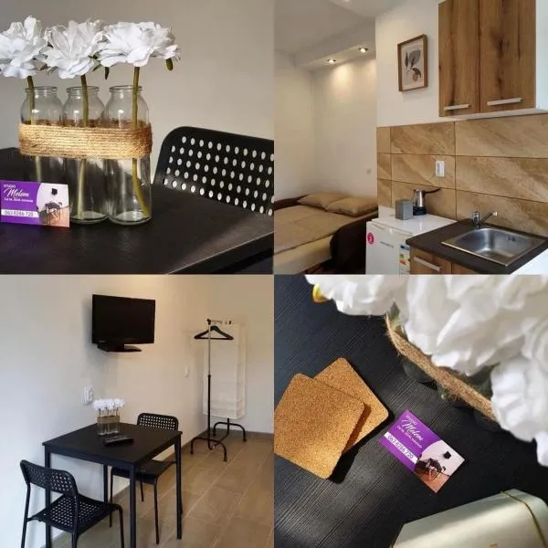 Studio Melem 2, hotel v destinaci Soko Banja