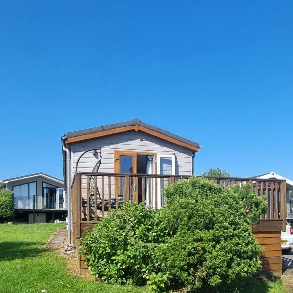 42 pine lodge & sea views, hotel in Llanarmon