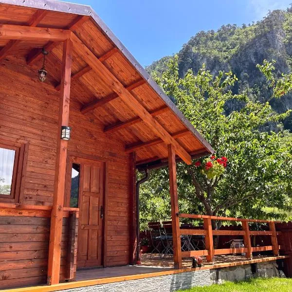 Elysium House, hôtel à Băile Herculane