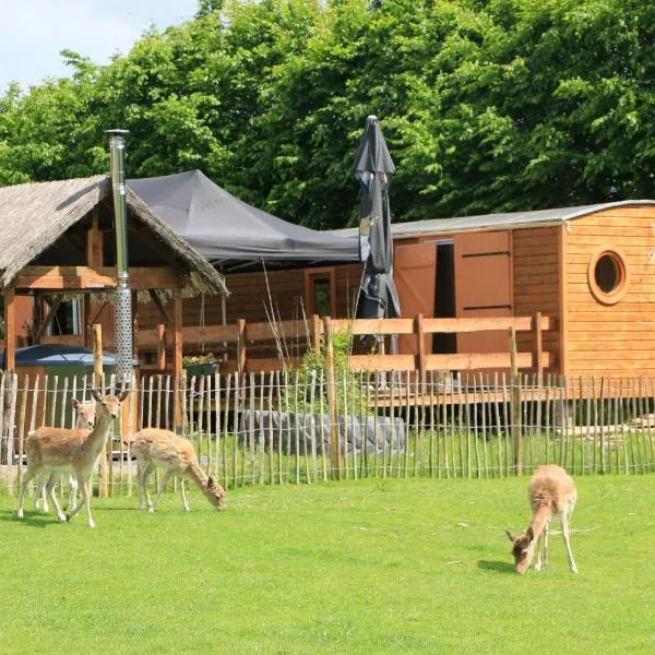 La Roulotte d'Ala-Daims, hotel in Nollevaux