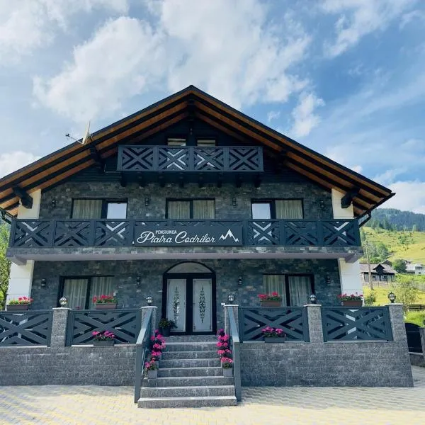 Piatra Codrilor, ξενοδοχείο σε Dorna Arini