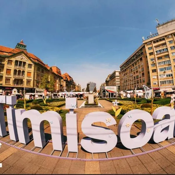 Apartament Lux Crialy - 75 m2 - free parking, hotel in Timişoara