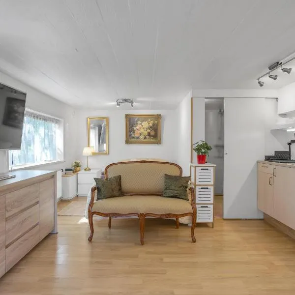 Lara Studio in Laugardalur valley, Reykjavík Central Park and Botanical Garden, Private entrance, FREE Private Parking on side, hotel in Reykjavík