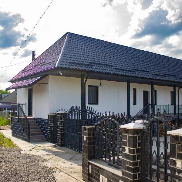 Ami's Home, hotel in Săpînţa